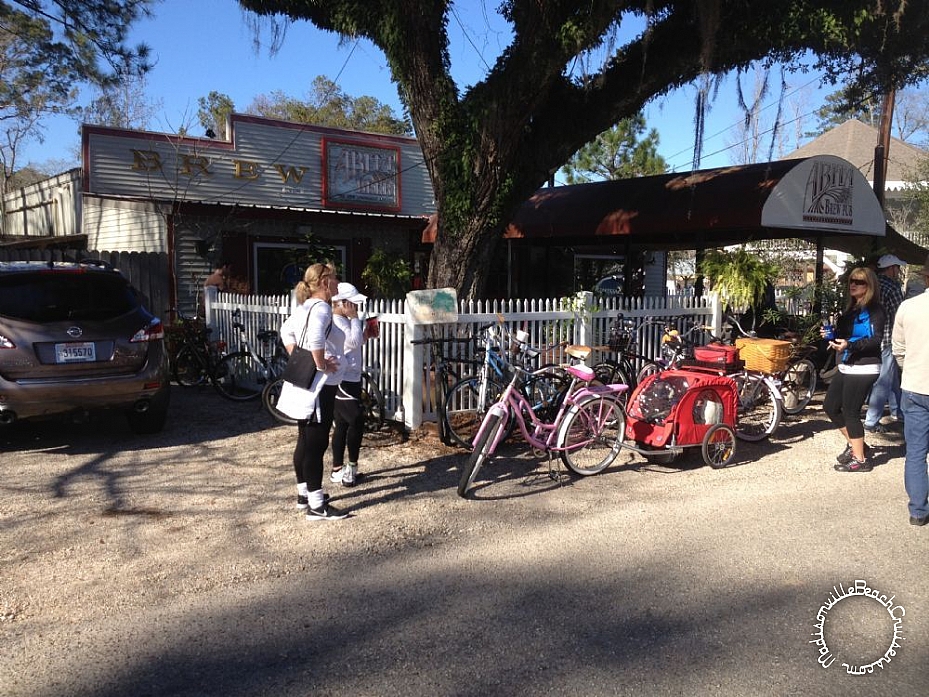 Ride on the Trace, Mandeville to Abita Springs - January 20, 2013